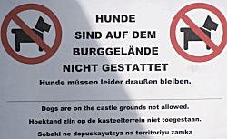 Honden niet toegestaan