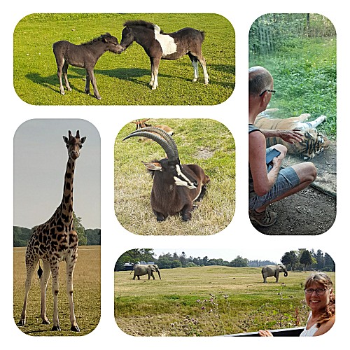 Safaripark Knuthenborg