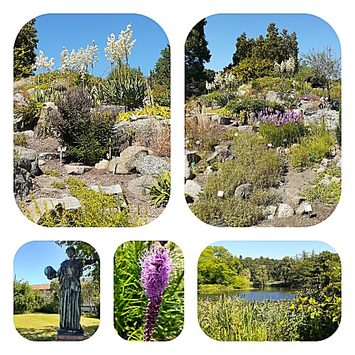Botanische tuin
