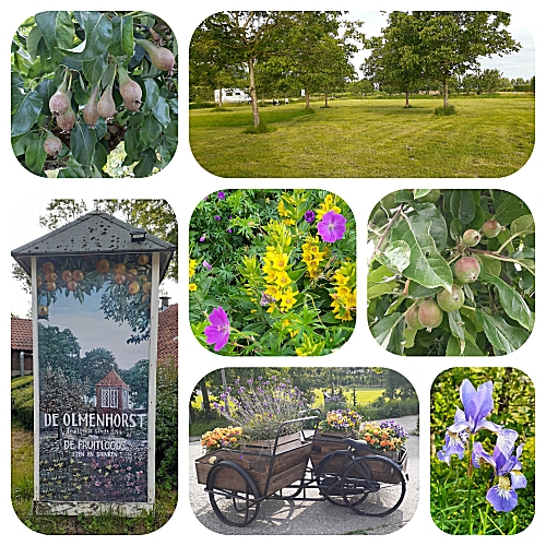 camperplaats de olmenhorst